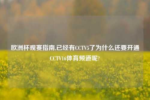 欧洲杯观赛指南,已经有CCTV5了为什么还要开通CCTV16体育频道呢?