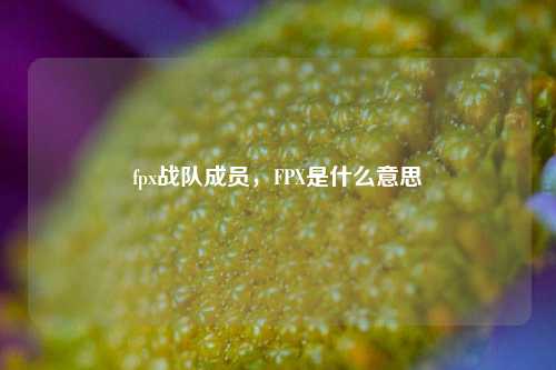 fpx战队成员，FPX是什么意思