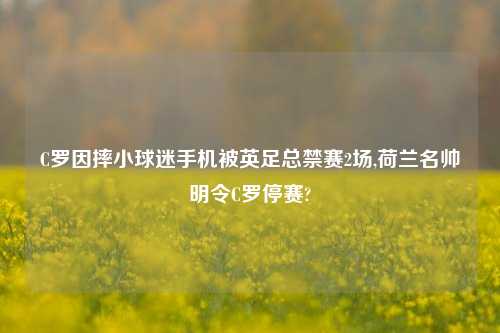 C罗因摔小球迷手机被英足总禁赛2场,荷兰名帅明令C罗停赛?