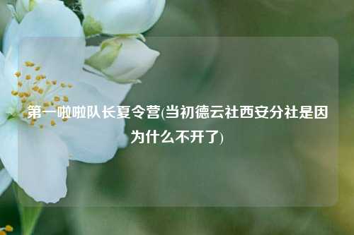 第一啦啦队长夏令营(当初德云社西安分社是因为什么不开了)