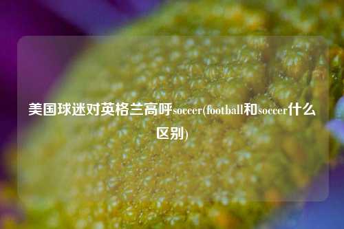 美国球迷对英格兰高呼soccer(football和soccer什么区别)