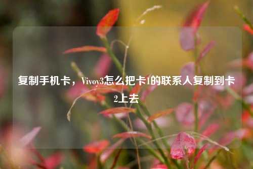 复制手机卡，Vivoy3怎么把卡1的联系人复制到卡2上去