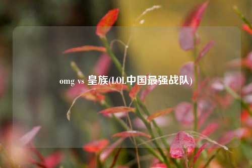 omg vs 皇族(LOL中国最强战队)