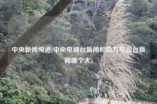 中央新闻频道(中央电视台新闻和地方电视台新闻哪个大)