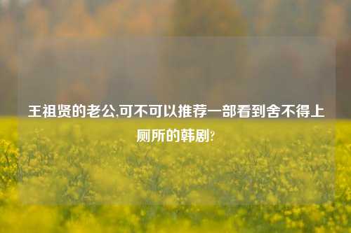 王祖贤的老公,可不可以推荐一部看到舍不得上厕所的韩剧?