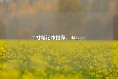 11寸笔记本推荐，thinkpad