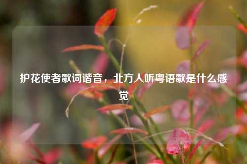 护花使者歌词谐音，北方人听粤语歌是什么感觉