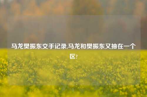 马龙樊振东交手记录,马龙和樊振东又抽在一个区?