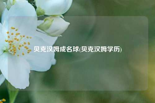 贝克汉姆成名球(贝克汉姆学历)