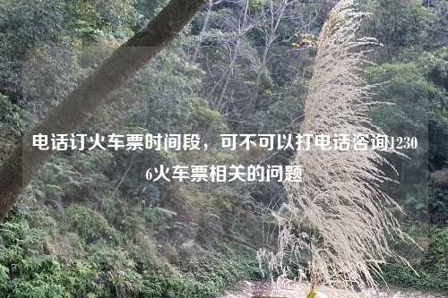 电话订火车票时间段，可不可以打电话咨询12306火车票相关的问题