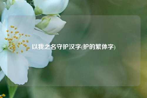 以我之名守护汉字(护的繁体字)