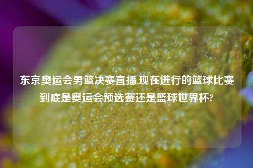 东京奥运会男篮决赛直播,现在进行的篮球比赛到底是奥运会预选赛还是篮球世界杯?