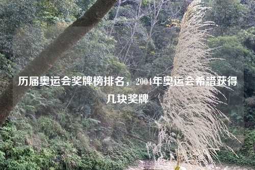 历届奥运会奖牌榜排名，2004年奥运会希腊获得几块奖牌