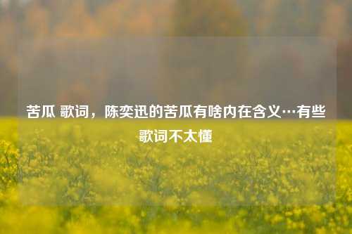 苦瓜 歌词，陈奕迅的苦瓜有啥内在含义…有些歌词不太懂