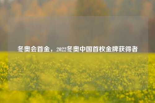 冬奥会首金，2022冬奥中国首枚金牌获得者