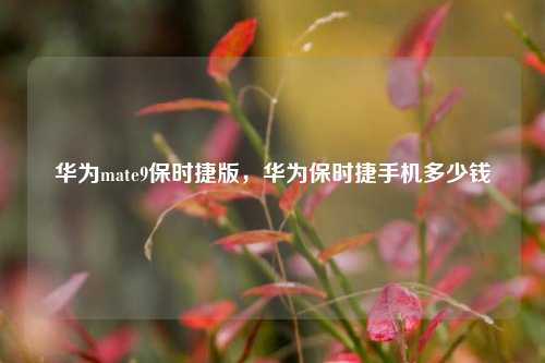 华为mate9保时捷版，华为保时捷手机多少钱