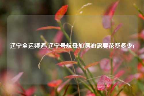 辽宁全运频道(辽宁号航母加满油需要花费多少)