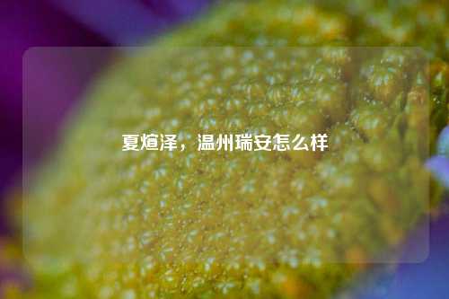 夏煊泽，温州瑞安怎么样