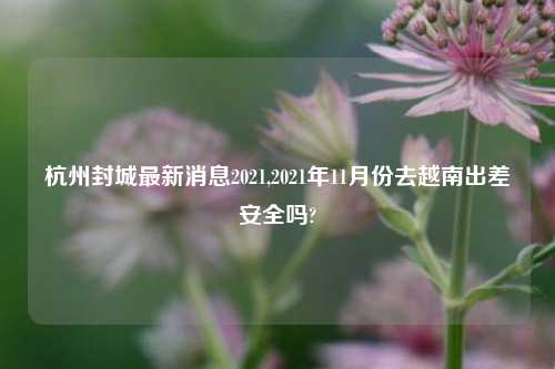 杭州封城最新消息2021,2021年11月份去越南出差安全吗?