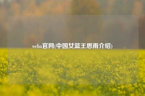 wcba官网(中国女篮王思雨介绍)