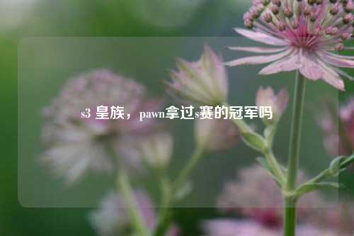 s3 皇族，pawn拿过s赛的冠军吗