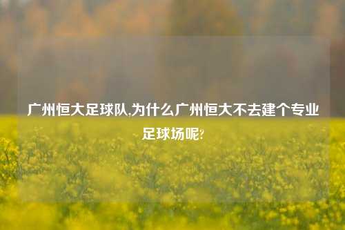 广州恒大足球队,为什么广州恒大不去建个专业足球场呢?