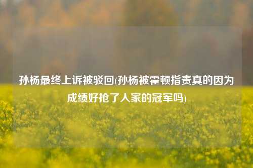 孙杨最终上诉被驳回(孙杨被霍顿指责真的因为成绩好抢了人家的冠军吗)