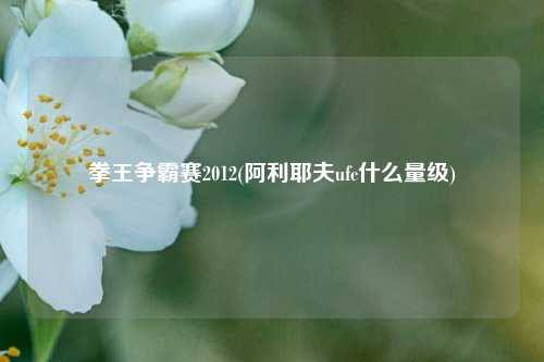 拳王争霸赛2012(阿利耶夫ufc什么量级)