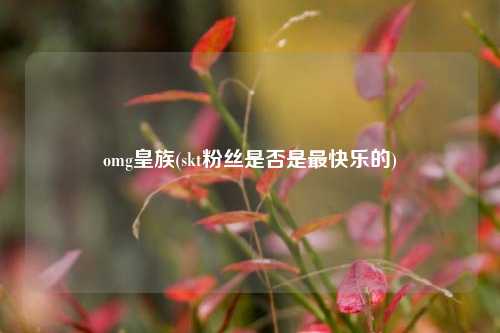 omg皇族(skt粉丝是否是最快乐的)