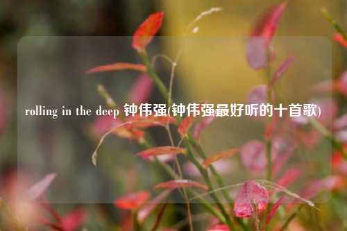 rolling in the deep 钟伟强(钟伟强最好听的十首歌)