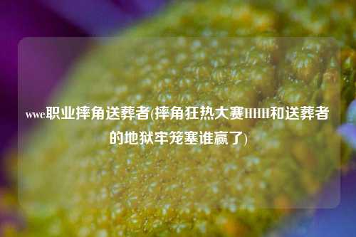 wwe职业摔角送葬者(摔角狂热大赛HHH和送葬者的地狱牢笼塞谁赢了)