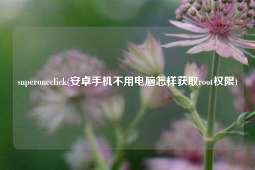 superoneclick(安卓手机不用电脑怎样获取root权限)