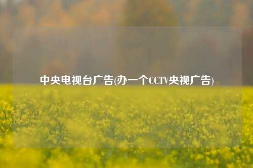 中央电视台广告(办一个CCTV央视广告)