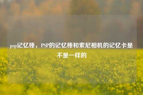 psp记忆棒，PSP的记忆棒和索尼相机的记忆卡是不是一样的