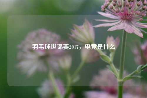 羽毛球世锦赛2017，电竞是什么