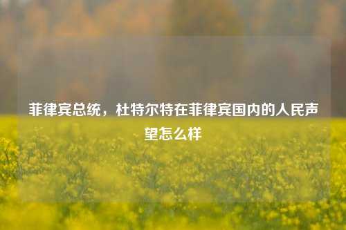 菲律宾总统，杜特尔特在菲律宾国内的人民声望怎么样