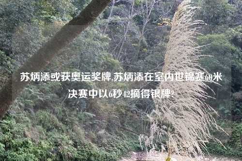 苏炳添或获奥运奖牌,苏炳添在室内世锦赛60米决赛中以6秒42摘得银牌?