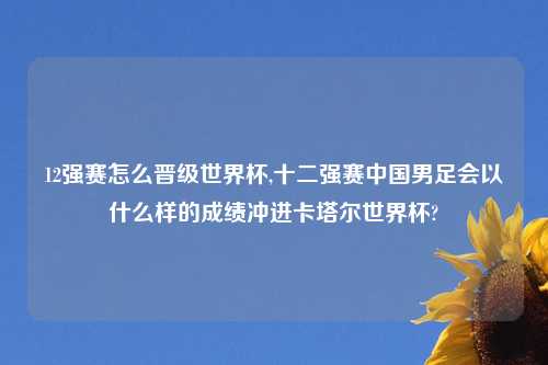 12强赛怎么晋级世界杯,十二强赛中国男足会以什么样的成绩冲进卡塔尔世界杯?