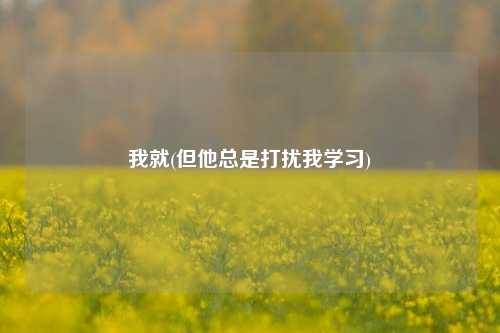 我就(但他总是打扰我学习)