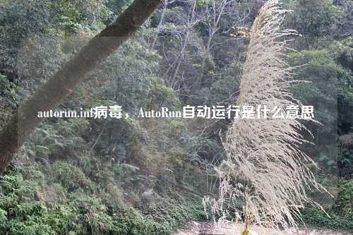 autorun.inf病毒，AutoRun自动运行是什么意思