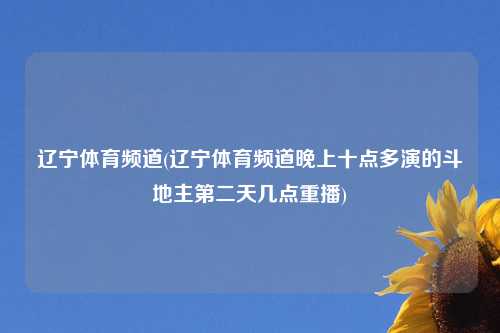 辽宁体育频道(辽宁体育频道晚上十点多演的斗地主第二天几点重播)