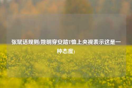 张斌话规则(姚明穿安踏T恤上央视表示这是一种态度)