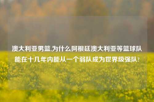 澳大利亚男篮,为什么阿根廷澳大利亚等篮球队能在十几年内能从一个弱队成为世界级强队?