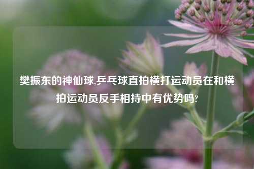 樊振东的神仙球,乒乓球直拍横打运动员在和横拍运动员反手相持中有优势吗?