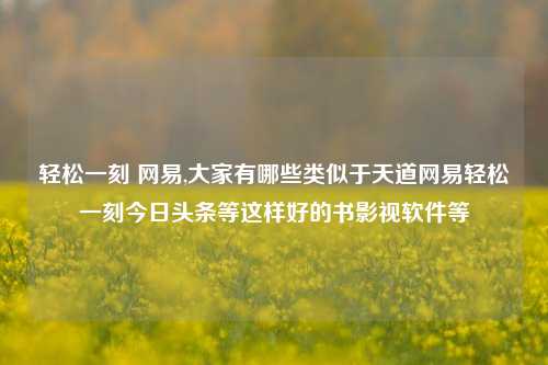 轻松一刻 网易,大家有哪些类似于天道网易轻松一刻今日头条等这样好的书影视软件等