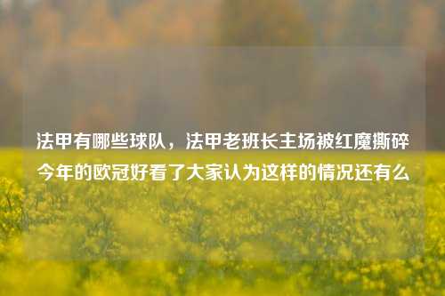 法甲有哪些球队，法甲老班长主场被红魔撕碎今年的欧冠好看了大家认为这样的情况还有么