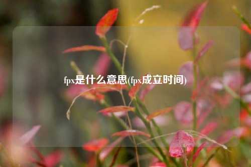 fpx是什么意思(fpx成立时间)