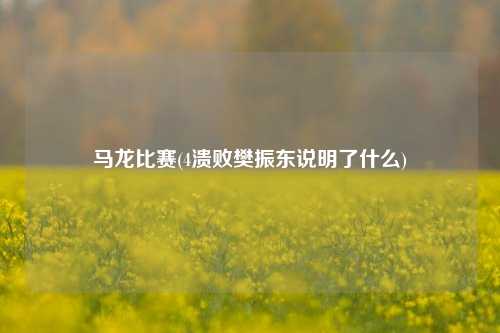 马龙比赛(4溃败樊振东说明了什么)