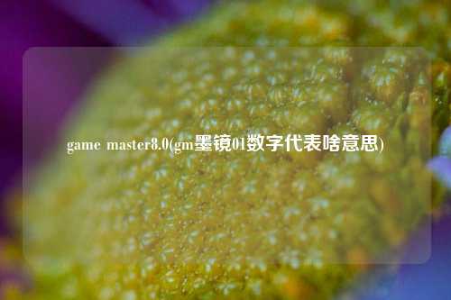 game master8.0(gm墨镜01数字代表啥意思)