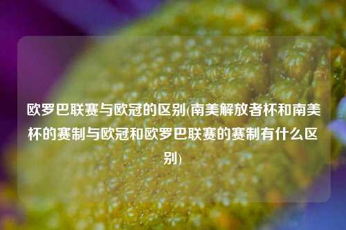 欧罗巴联赛与欧冠的区别(南美解放者杯和南美杯的赛制与欧冠和欧罗巴联赛的赛制有什么区别)